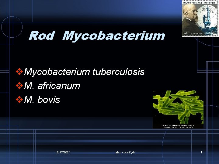 Rod Mycobacterium v. Mycobacterium tuberculosis v. M. africanum v. M. bovis 12/17/2021 alen vukelić,