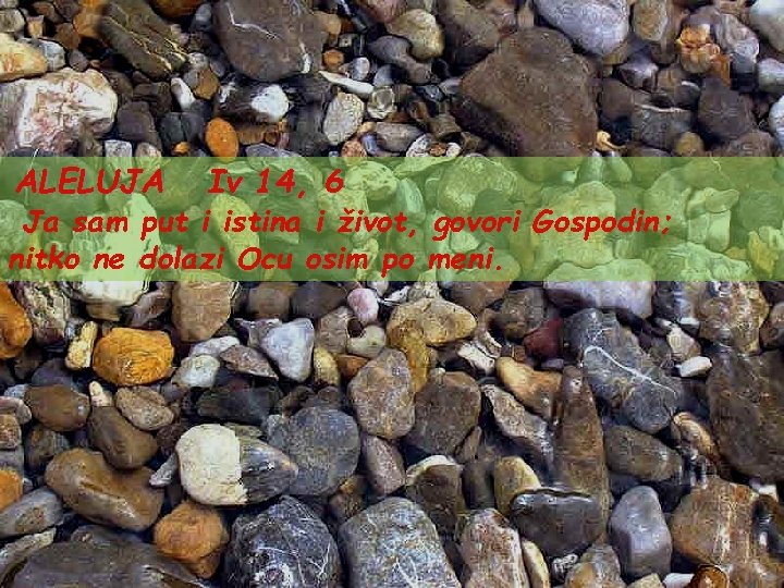 ALELUJA Iv 14, 6 Ja sam put i istina i život, govori Gospodin; nitko