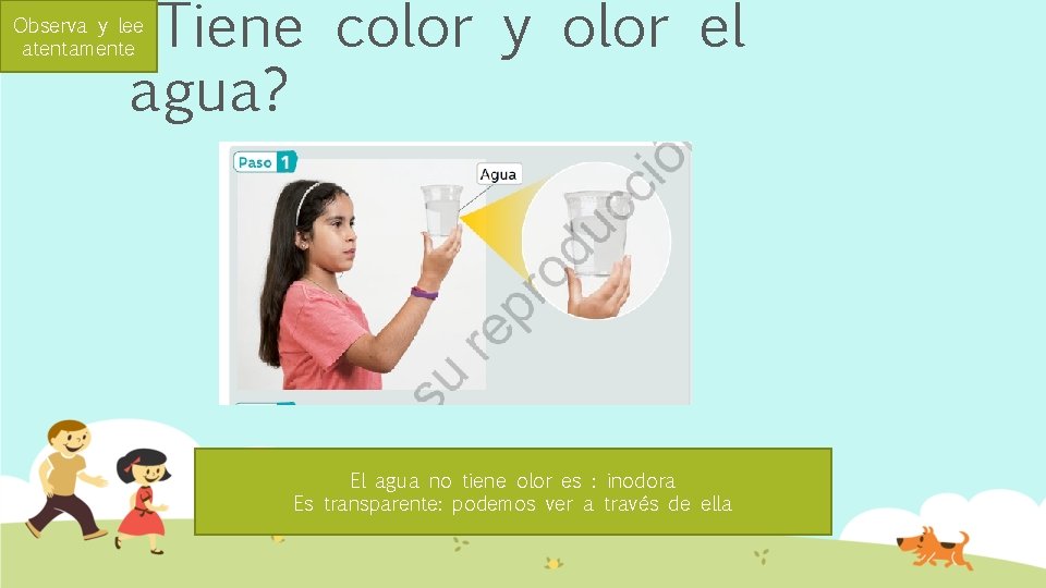 ¿Tiene color y olor el agua? Observa y lee atentamente El agua no tiene