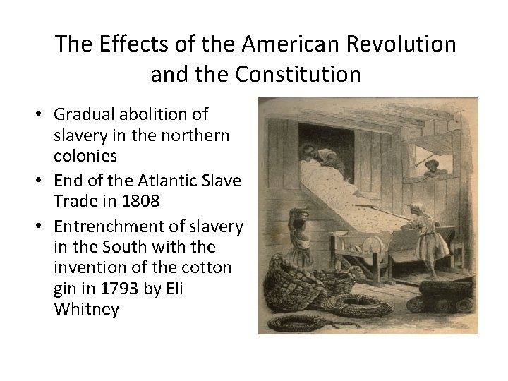 The Effects of the American Revolution and the Constitution • Gradual abolition of slavery The Effects of the American Revolution and the Constitution • Gradual abolition of slavery