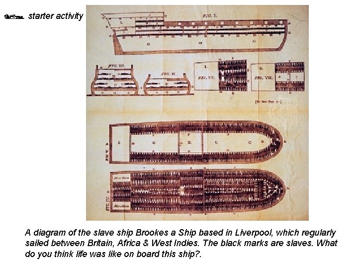 starter activity A diagram of the slave ship Brookes a Ship based in starter activity A diagram of the slave ship Brookes a Ship based in