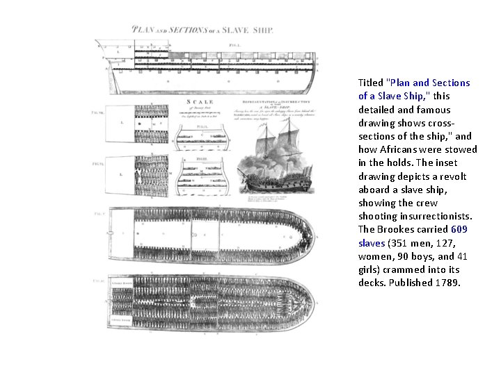 Titled "Plan and Sections of a Slave Ship, " this detailed and famous drawing Titled "Plan and Sections of a Slave Ship, " this detailed and famous drawing