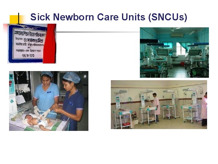 Sick Newborn Care Units (SNCUs) 