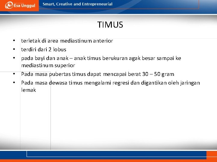 TIMUS • terletak di area mediastinum anterior • terdiri dari 2 lobus • pada
