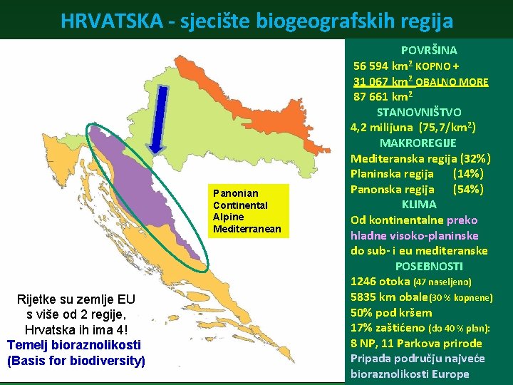 HRVATSKA - sjecište biogeografskih regija Panonian Continental Alpine Mediterranean Rijetke su zemlje EU s