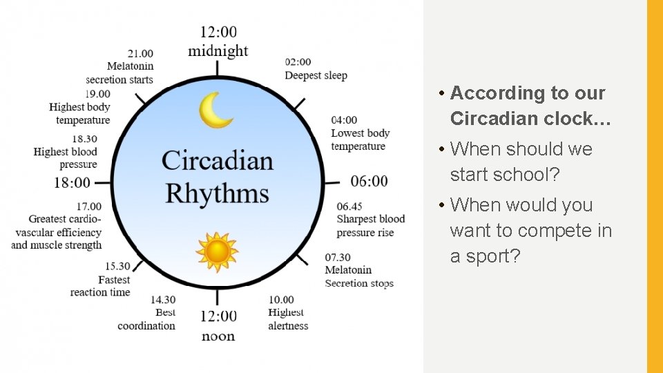  • According to our Circadian clock… • When should we start school? •