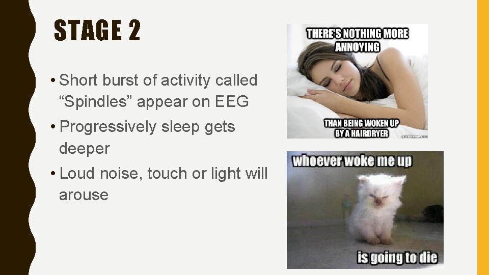 STAGE 2 • Short burst of activity called “Spindles” appear on EEG • Progressively