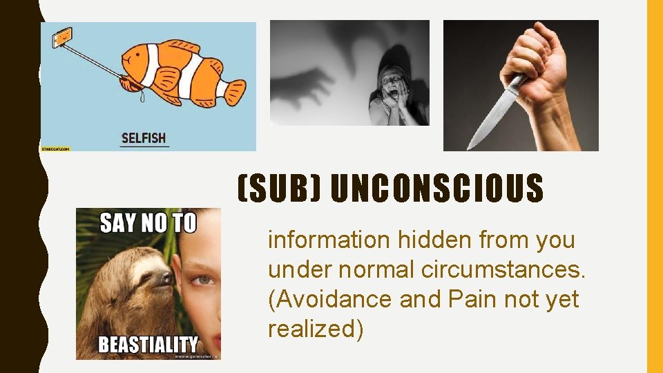 (SUB) UNCONSCIOUS information hidden from you under normal circumstances. (Avoidance and Pain not yet