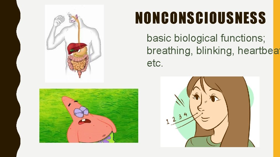 NONCONSCIOUSNESS basic biological functions; breathing, blinking, heartbeat etc. 