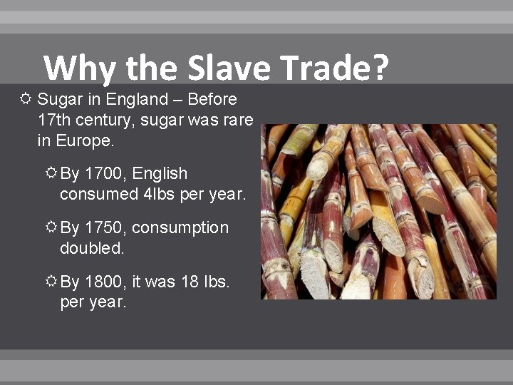 Why the Slave Trade? Sugar in England – Before 17 th century, sugar was