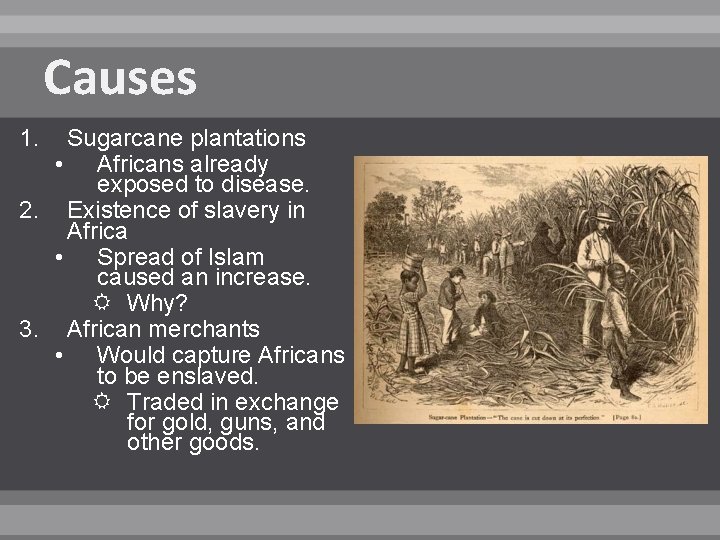 Causes 1. Sugarcane plantations • Africans already exposed to disease. 2. Existence of slavery