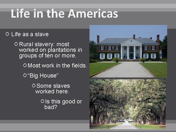 Life in the Americas Life as a slave Rural slavery: most worked on plantations