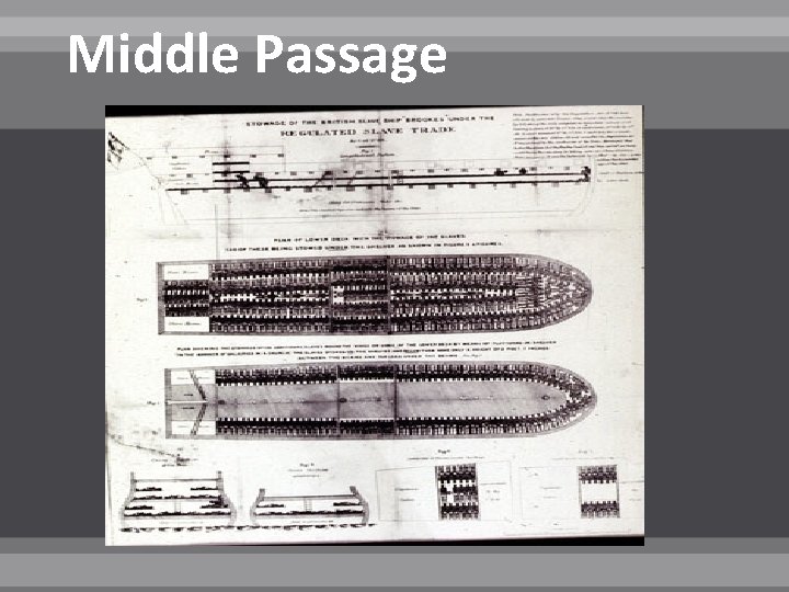 Middle Passage 