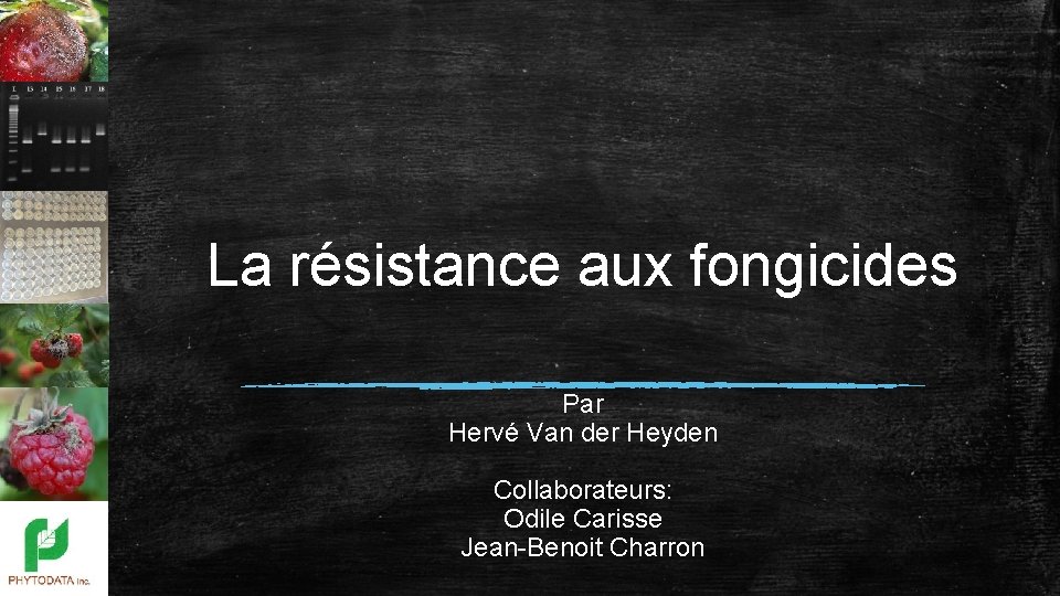 La résistance aux fongicides Par Hervé Van der Heyden Collaborateurs: Odile Carisse Jean-Benoit Charron