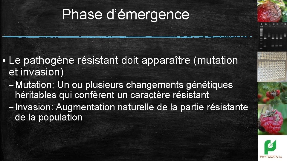 Phase d’émergence § Le pathogène résistant doit apparaître (mutation et invasion) – Mutation: Un