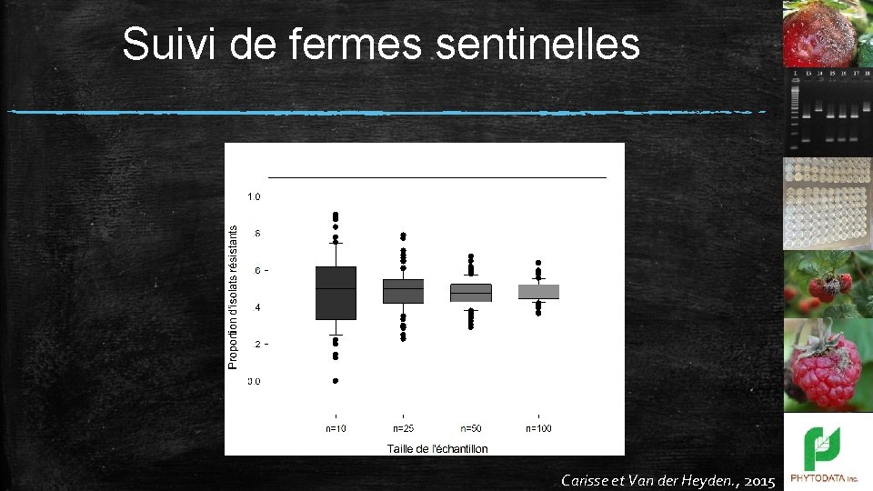 Suivi de fermes sentinelles Carisse et Van der Heyden. , 2015 