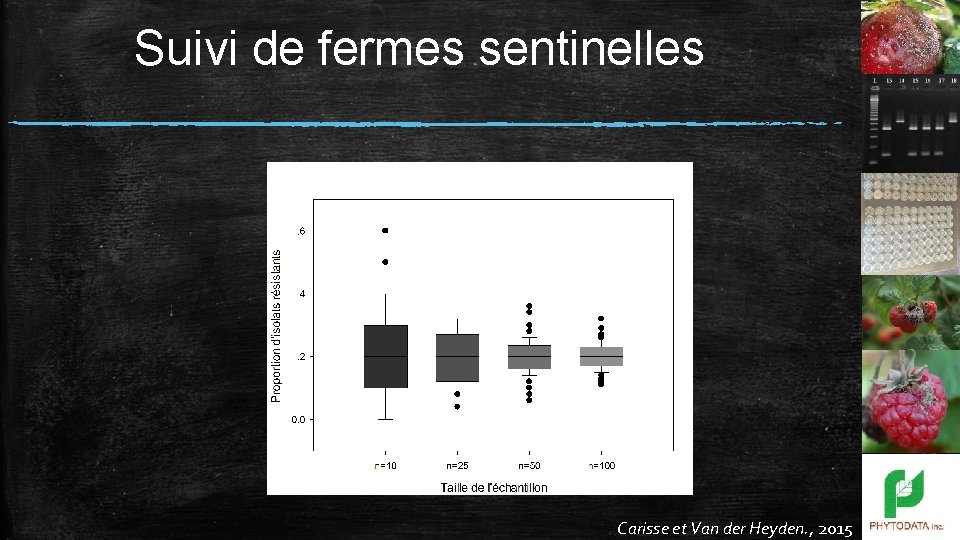 Suivi de fermes sentinelles Carisse et Van der Heyden. , 2015 