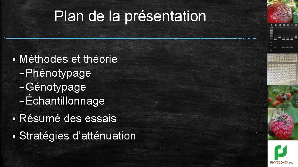 Plan de la présentation § Méthodes et théorie – Phénotypage – Génotypage – Échantillonnage