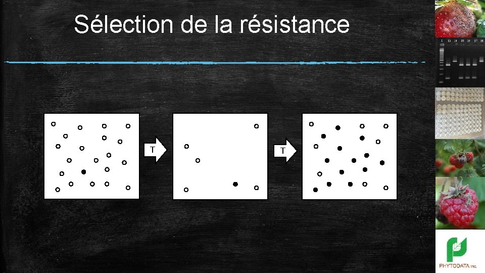 Sélection de la résistance T T 