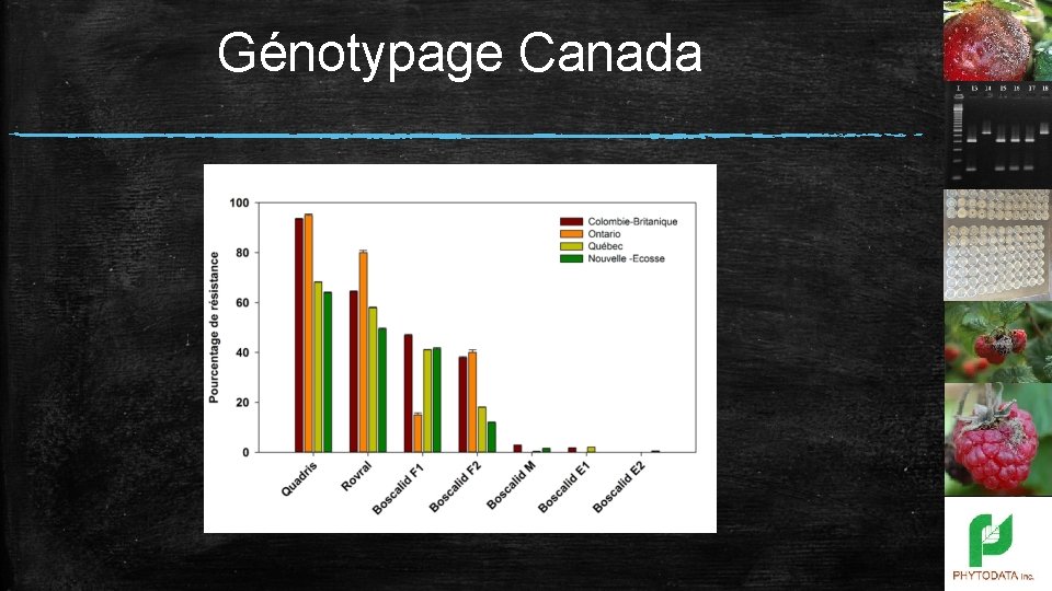 Génotypage Canada 