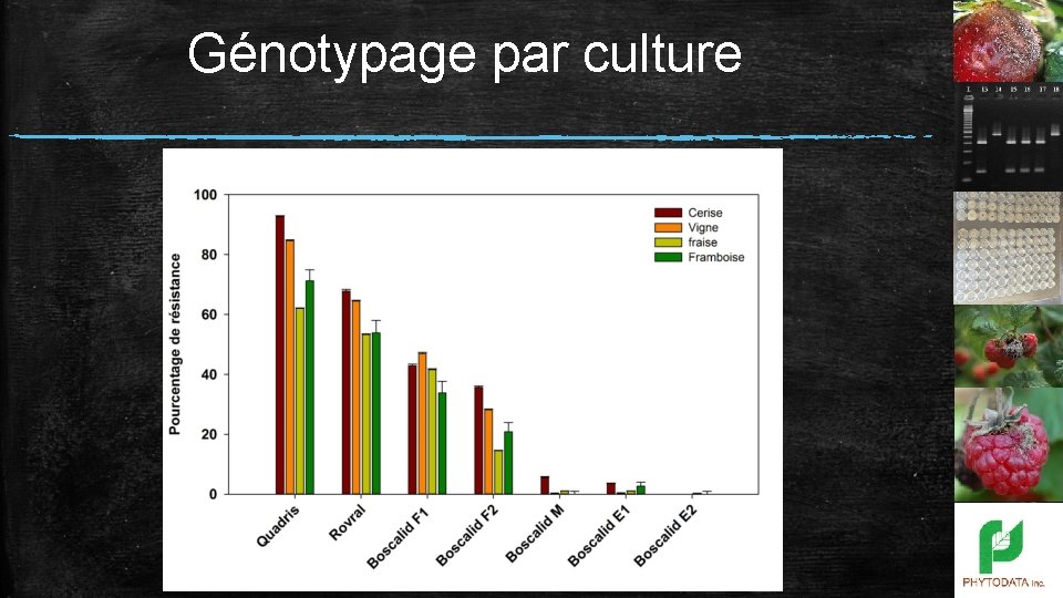 Génotypage par culture 