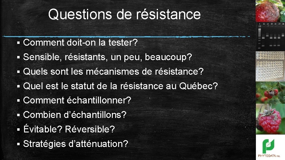 Questions de résistance § Comment doit-on la tester? § Sensible, résistants, un peu, beaucoup?