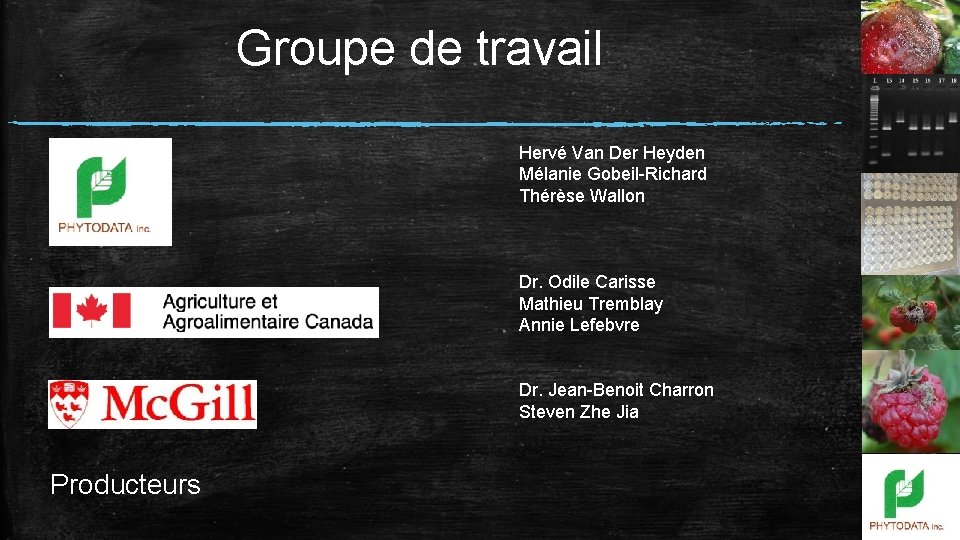 Groupe de travail Hervé Van Der Heyden Mélanie Gobeil-Richard Thérèse Wallon Dr. Odile Carisse