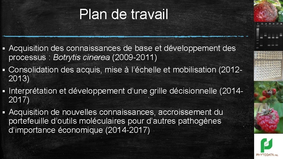 Plan de travail Acquisition des connaissances de base et développement des processus : Botrytis