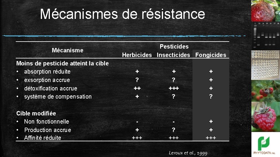 Mécanismes de résistance Mécanisme Pesticides Herbicides Insecticides Fongicides Moins de pesticide atteint la cible