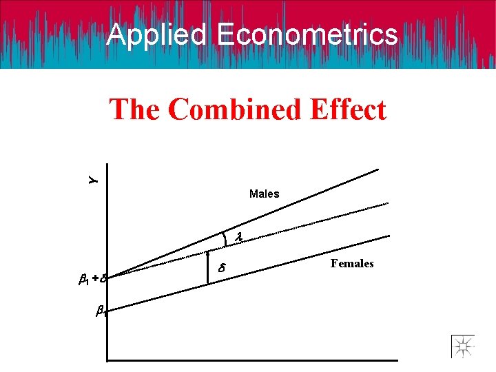 Applied Econometrics Y The Combined Effect Males l b 1 +d b 1 d