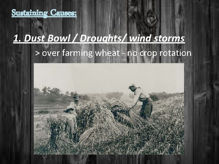 Sustaining Causes: 1. Dust Bowl / Droughts/ wind storms > over farming wheat -