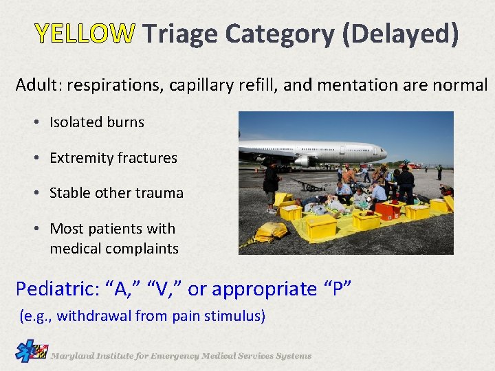 YELLOW Triage Category (Delayed) Adult: respirations, capillary refill, and mentation are normal • Isolated
