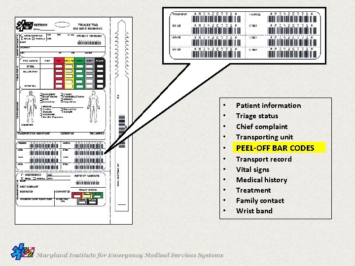  • • Patient information Triage status Chief complaint Transporting unit • PEEL-OFF BAR