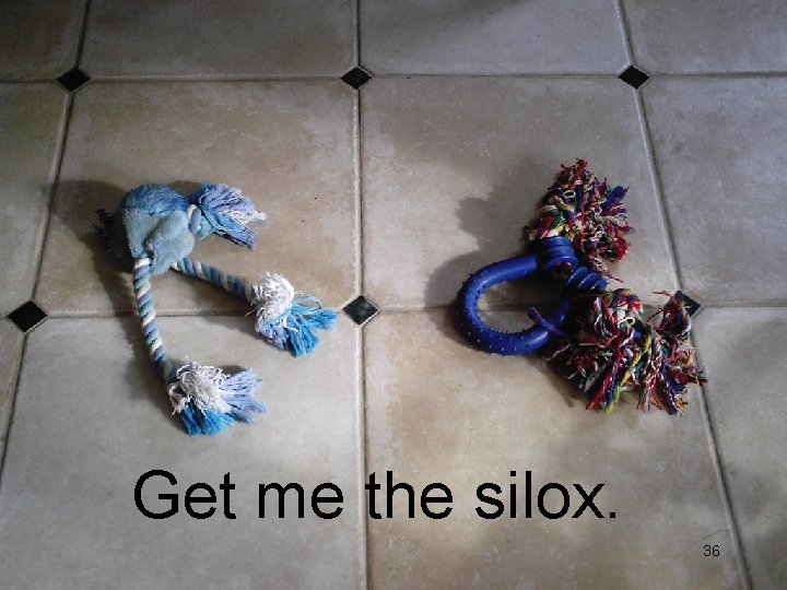 Get me the silox. 36 