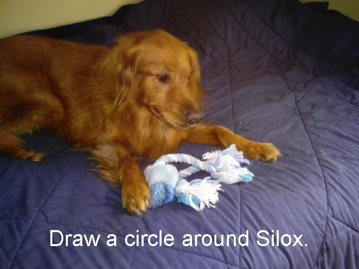 Draw a circle around Silox. 38 