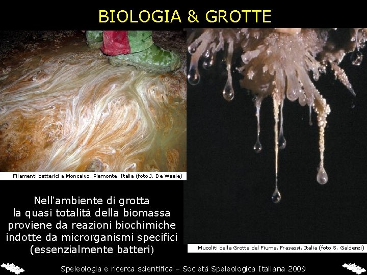 BIOLOGIA & GROTTE Filamenti batterici a Moncalvo, Piemonte, Italia (foto J. De Waele) Nell’ambiente