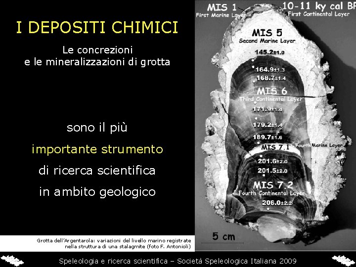 I DEPOSITI CHIMICI Le concrezioni e le mineralizzazioni di grotta sono il più importante