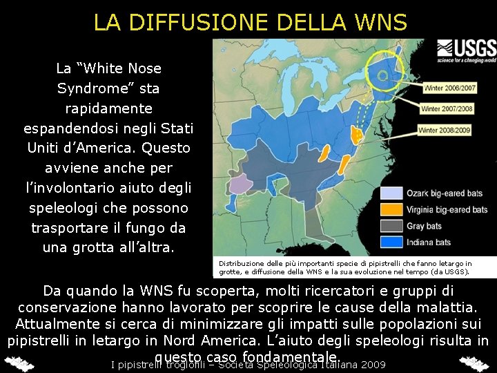 LA DIFFUSIONE DELLA WNS La “White Nose Syndrome” sta rapidamente espandendosi negli Stati Uniti