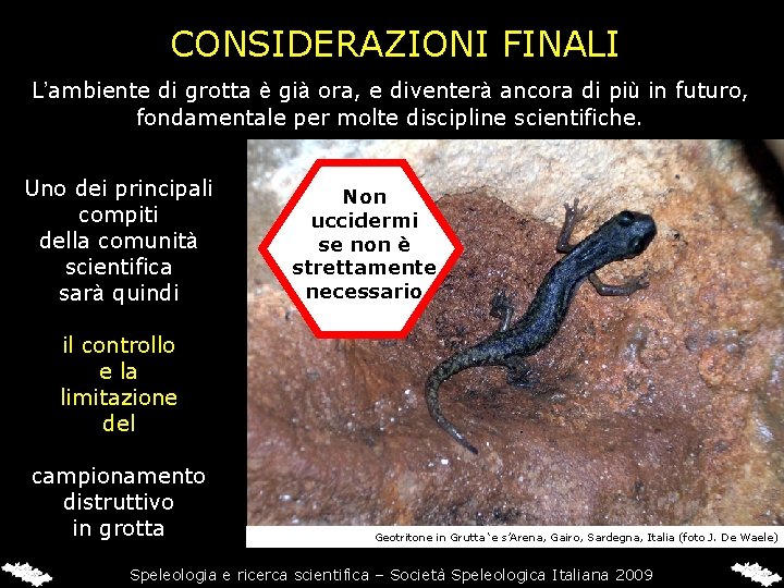 CONSIDERAZIONI FINALI L’ambiente di grotta è già ora, e diventerà ancora di più in