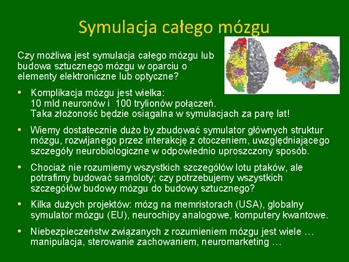 Symulacja całego mózgu Czy możliwa jest symulacja całego mózgu lub budowa sztucznego mózgu w