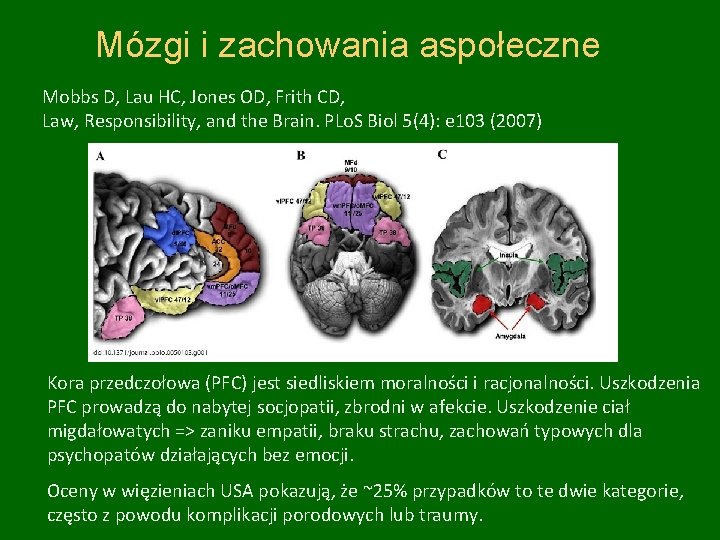 Mózgi i zachowania aspołeczne Mobbs D, Lau HC, Jones OD, Frith CD, Law, Responsibility,