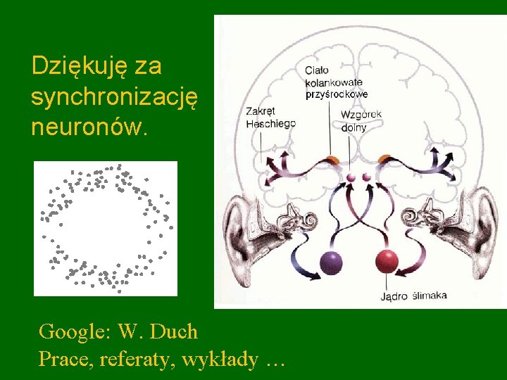 Dziękuję za synchronizację neuronów. Google: W. Duch Prace, referaty, wykłady … 