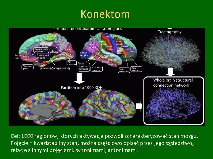 Konektom Cel: 1000 regionów, których aktywacja pozwoli scharakteryzować stan mózgu. Pojęcie = kwazistabilny stan,