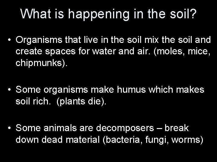 What is happening in the soil? • Organisms that live in the soil mix