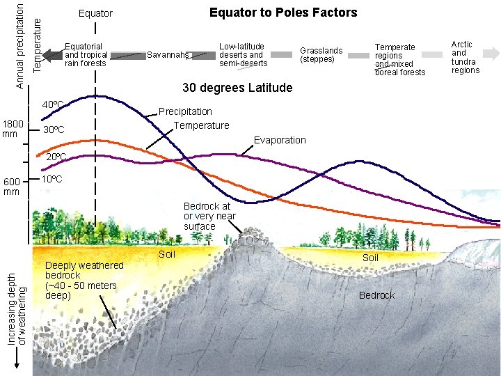 Temperature Annual precipitation Equatorial and tropical rain forests Savannahs Low-latitude deserts and semi-deserts Grasslands