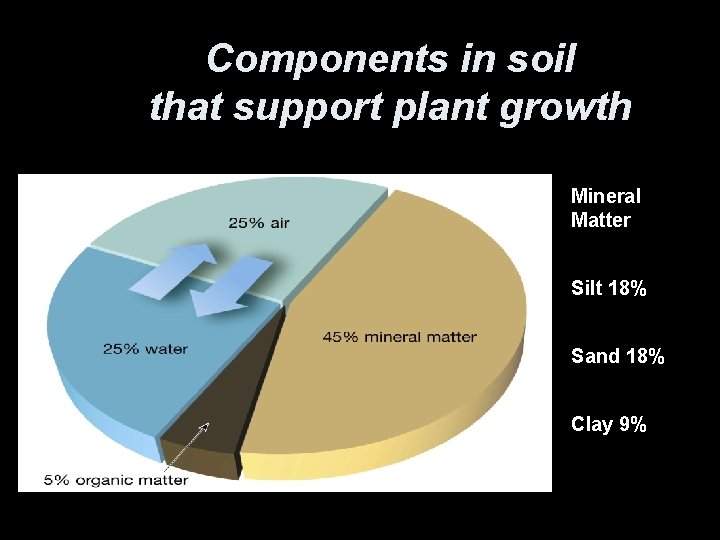 Components in soil that support plant growth Mineral Matter Silt 18% Sand 18% Clay