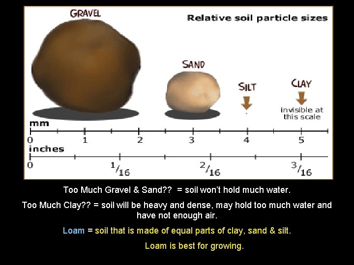 Too Much Gravel & Sand? ? = soil won’t hold much water. Too Much