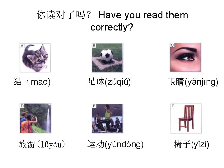你读对了吗？ Have you read them correctly? 猫（māo) 旅游(lǚyóu) 足球(zúqiú) 运动(yùndòng) 眼睛(yǎnjīng) 椅子(yǐzi) 