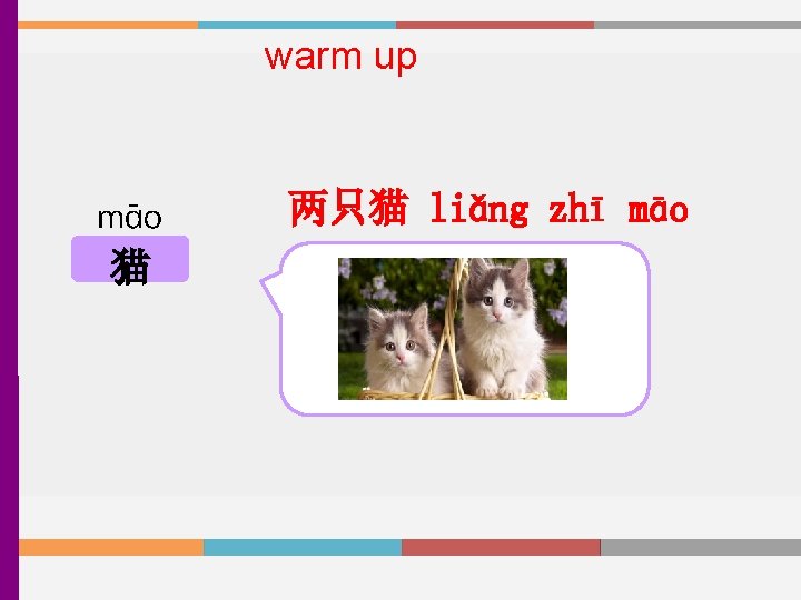 warm up māo 猫 两只猫 liǎng zhī māo 