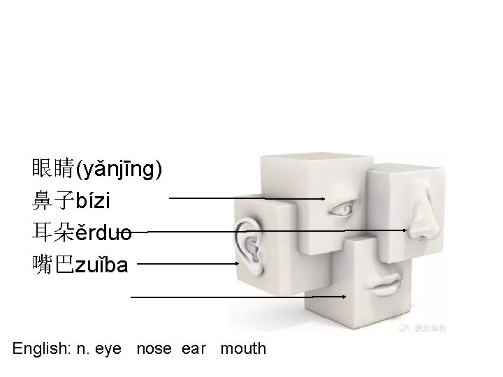 眼睛(yǎnjīng) 鼻子bízi 耳朵ěrduo 嘴巴zuǐba English: n. eye nose ear mouth 